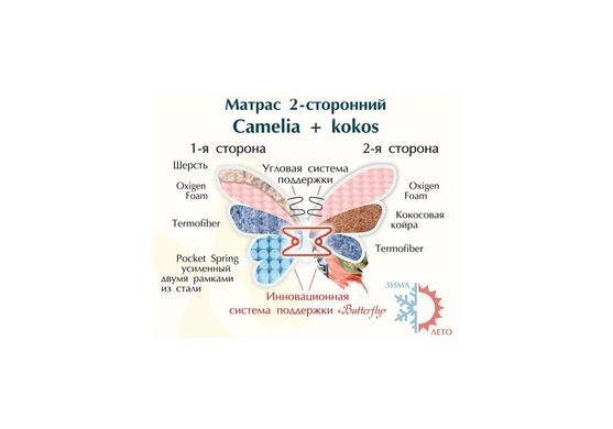 Ортопедичний матрац MatroLuxe Butterfly CAMELIA+KOKOS / КАМЕЛІЯ+КОКОС 160х200 см